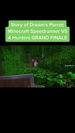 The Heartbreaking Story of Dream's Parrot in Minecraft | 2021-2021