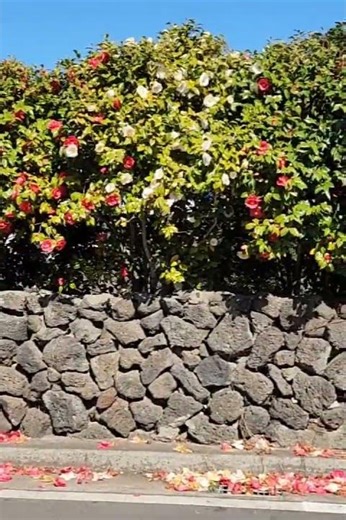 Where Wind Meets Stone