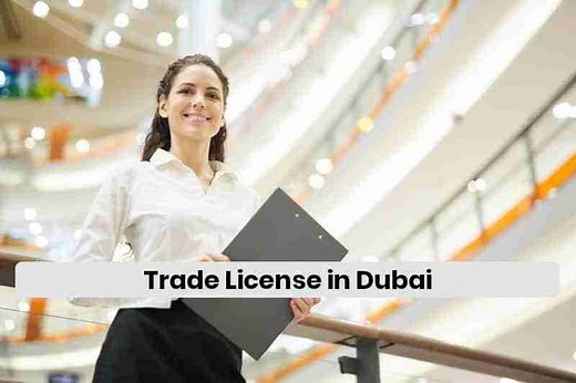 Trade License in Dubai: Types, Fees & Renewal Guide