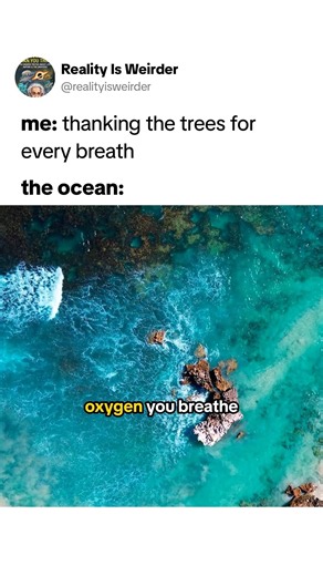 Where Your Oxygen Really Comes From #ocean #oxygen