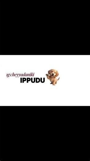 comment 'setup'
