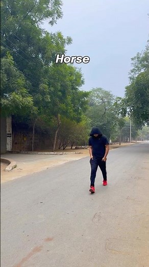 How different animals walk 🚶