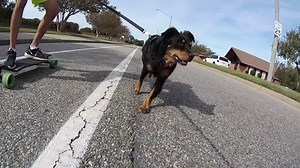 Watch Smooth & stable. on Amazon Live