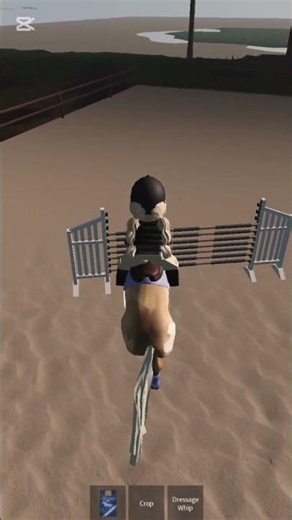 first time jumping 1m 20cm course on ruby in strideway