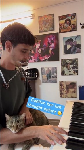 Harmonica makes cat fall asleep 💤