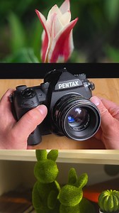 Adapt M42 lenses to your Pentax K camera with the Fotodiox M42 to Pentax K lens adapter. - - #PentaxK #m42 #m42ens #lensadapter #pentax #pentaxcamera #manuallens #vintagelens #helios442 #helios #pentaxk3iii #fotodiox #fotodioxpro #fotodioxadapter #flowerphotography #camerademo #lensdemo #photography | Fotodiox Inc. | Facebook