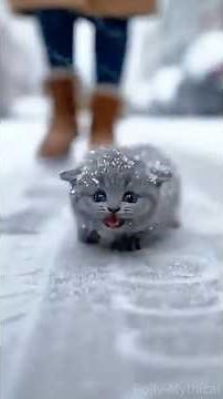 Froze to Death?😭 💔Old Dog Sacrificed Itself to Save a Tiny Kitten ❄️💔 #HeroDog #Rescue