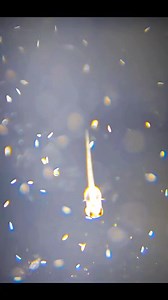 91K views · 1K reactions | Baby fry betta feeding | Betta Fish Lovers Cebu Ph | Facebook