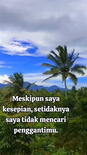 701451171 (@70l451174)’s videos with Seruling sedih - Napolleoon