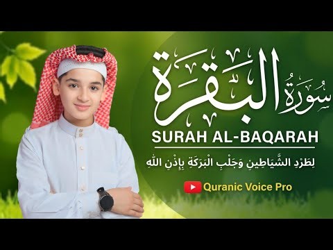 Surah Al-Baqarah ❤️ | Bring Peace, Barakah & Protection into Your Home | Abdullah Ahmad Shaaban