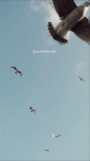 "Dil Pe Zakhm Khate Hain 💔 | Heart Broken Status | Emotional Pain Short"