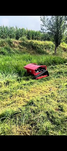 Remote Control Orchard Mower, Fast Agricultural Technician in Action" #reelsfbシ #fypシ #agriculture #farming #viralreelschallenge #fun #engineering #technology | Sumit Kumar Sinha