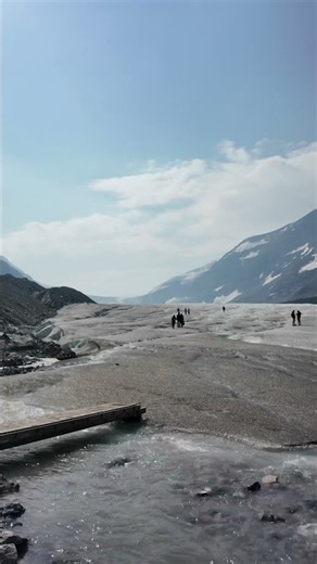 これがカナダの大氷河…🇨🇦 Columbia Icefield｜Banff