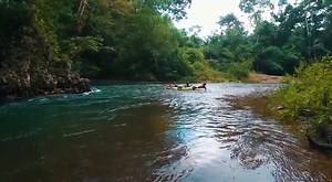 The long-awaited day is finally here! Belize is officially open for leisure travel.🥳 Whether you’re planning your itinerary, packing your bags or already on the first flight over, click the link below to learn about our new safety procedures. We can’t wait to see you soon! #BelizeIzOpen #TravelBelize https://bit.ly/3iN7xiT | Travel Belize