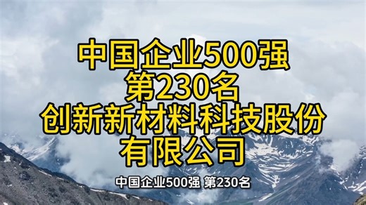 中国企业500强，第230名，创新新材料科技股份有限公司。