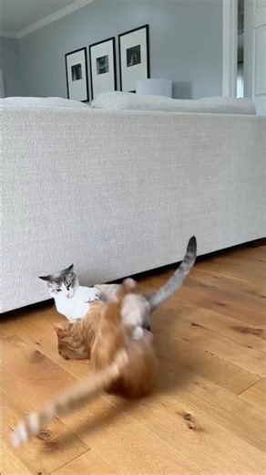 the water trick did NOT work