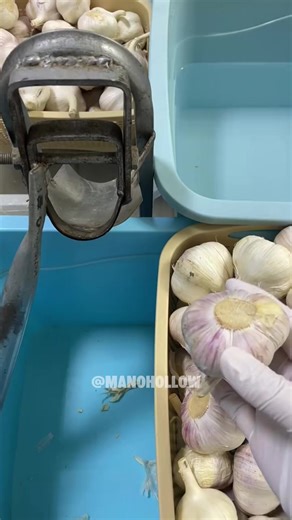 La Desaparición de Mis Padres: Una Historia Impactante