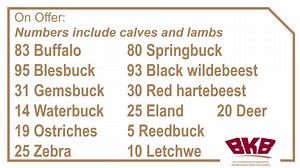 57 reactions · 28 shares | The Catalogue Game Auction on behalf of Stefcor Beef (Pty) Ltd will take place on 9 April from 11:00 on the farm Wintershoek in the Devon district. On offer: 83 Buffalo 80 Springbuck 95 Blesbuck 93 Black wildebeest 31 Gemsbuck 30 Red hartebeest 14 Waterbuck 25 Eland 20 Deer 19 Ostriches 5 Reedbuck 25 Zebra 10 Letchwe Learn more here: https://events.bkb.co.za/event/catalogue-game-auction/ | BKB | Facebook