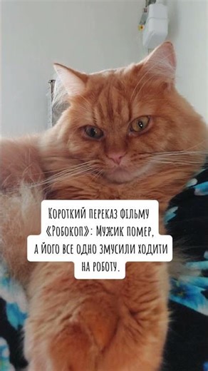 Це капець😅 #жартиукраїнською #гуморпоукраїнськи #гумор #україна #смішнівідео #memes #життя #робота