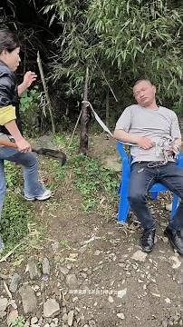 Funny videos every day #humorous