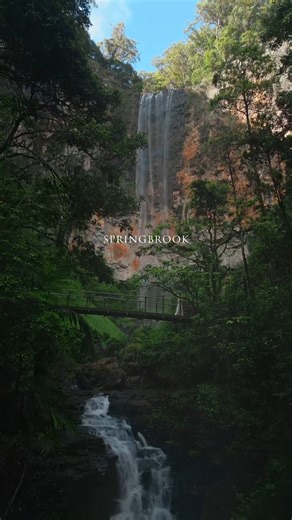 This Earth Day, we’re taking you deep into the heart of one of nature’s masterpiece — Springbrook National Park. 🌍✨ Towering waterfalls, ancient Gondwana rainforests, and misty mountain views remind us just how magical our planet truly is. 🌿🌈 From the iconic Purling Brook Falls to lush walking trails, every corner of Springbrook sparkles with magic. 📍 Springbrook National Park 📸 AQUA DAN creatives #GoldCoast #ExperienceGoldCoast #ThisIsQueensland #EarthDay #Nature [ID. Video shows a women i