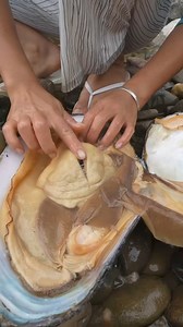 1.3M views · 10K reactions | beautiful 朗 #rock #minerals...