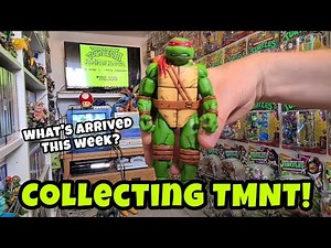 My TMNT Collection! This week's new arrivals!