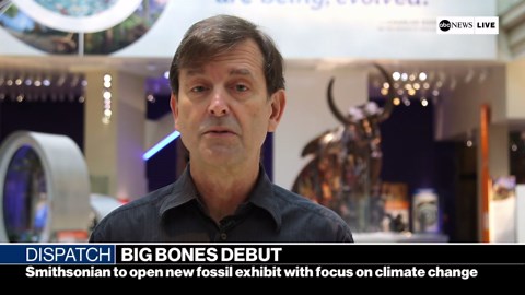 New fossil exhibit debuts at Smithsonian