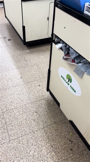 Controversial Encounter at Dollar Tree with Minors