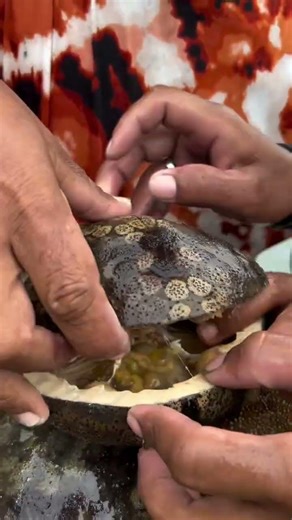 Sand dallor with small fish eel inside #challenge #fishing #forex #fish #vairalvideo #food #cooking