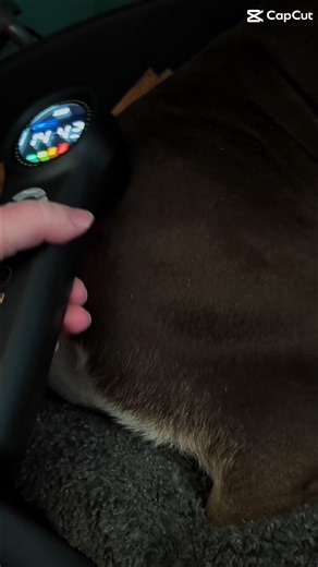 Cold Laser Therapy for Relaxation and Healing