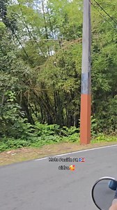 BUENOS DÍAS PUERTO RICO 🇵🇷 TURISMO EN DOS RUEDAS 🏍 CIDRA PUERTO RICO 🇵🇷 CARR 171🏍🏍🏍 Moto Pasión PR 🇵🇷 DISFRUTA TU ISLA BORICUA 😃 NACIMOS PARA (NITO MENDEZ) (CRISTO ES EL CAMINO) #motopasionpuertorico #motopasionpr #disfrutatuislapr #cidrapr #cidra | Moto Pasión