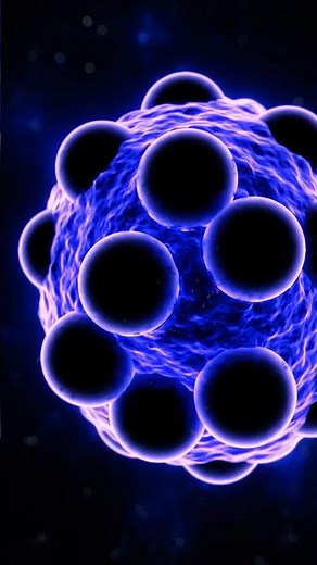 Atomic Interaction