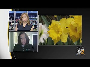 Allergy Season Is Here