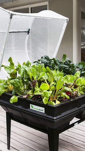 4.1K views · 29 reactions |  :: NEW IN THE NURSERY ::  VEGEPOD...