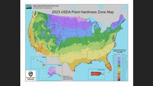 USDA updates plant hardiness zone map for gardeners due to climate change