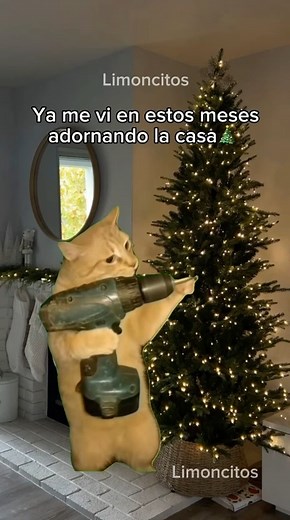 SOY JAJAJA | Limoncitos club