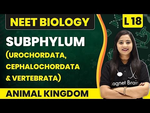 Subphylum - Urochordata, Cephalochordata & Vertebrata | Animal Kingdom - L18 | NEET Biology