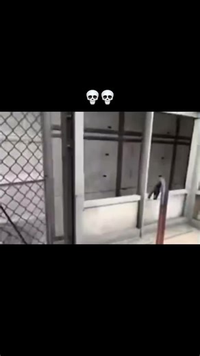 Elmo Bollocks Meme - Hilariously Horrifying Encounter