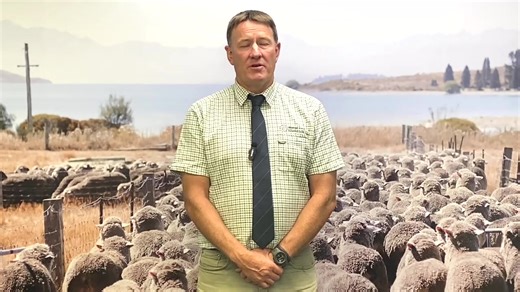 Welcome to this week's Canterbury Park Report where Mick and Bob run you through the days sale. As always comment "Win Wine" or "Win Beer" to get into our weekly giveaway. | Rural Livestock Ltd