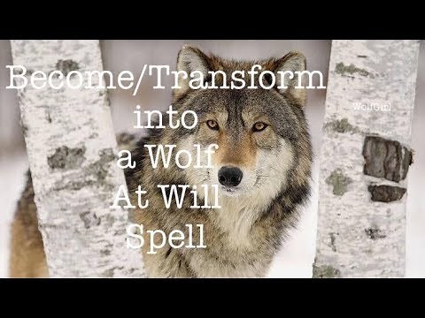 Wolf Spell || Turn into a Wolf at Will