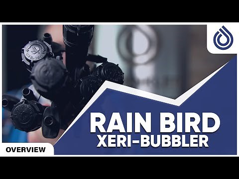 Rain Bird Xeri-Bubbler, Micro Spray Stakes | SprinklerSupplyStore.com