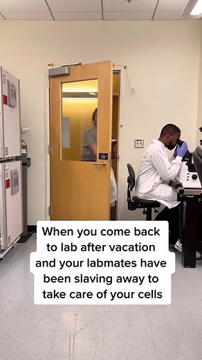 The Importance of Teamwork in STEM Research