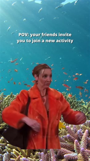 How it feels when your BFF invites you to come diving 🥰 Tag a friend you want to invite scuba diving, and tap http://padi.co/24lpi53f to find out how you BOTH can get certification discounts! | PADI