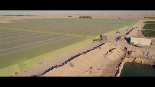 Synergy, la clé pour libérer tout le potentiel de vos cultures 🍀 سینیرجي، المفتاح لتعزیز إمكانیات محاصیلك 🍀 | Profert SPA