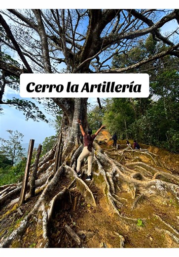 🔴 Cerro la Artillería 🔴 ✨ Una aventura que vale cada paso. ⏱️ Tiempo del recorrido: Nos tomó aproximadamente 2 horas llegar al plano, y casi el mismo tiempo para bajar 📍 Tips útiles para tu visita: 🚌 ¿Sabías que puedes llegar en autobús? Puedes viajar desde David en bus y luego tomar un taxi, indicándole al conductor que te lleve hasta la entrada del recorrido, ideal si no cuentas con vehículo propio. 🌦️ Verifica el clima antes de ir Si quieres, puedes escribirme en los comentarios y te com