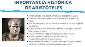 Importancia histórica de ARISTÓTELES - resumen y vídeos!