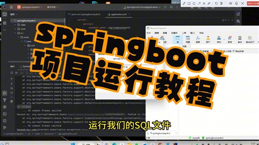 springboot项目通用运行教程