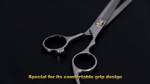 Professional Thinning Shears