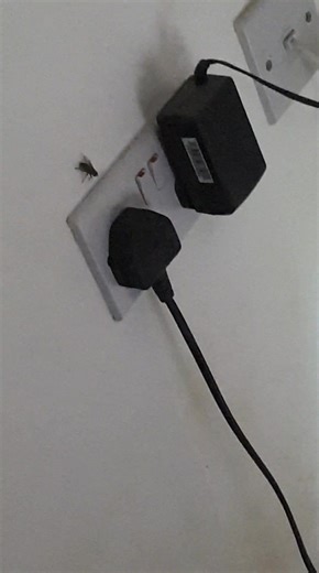 10K views · 36 reactions | I am shook rn  | Ash Ketchum & Friends | Facebook